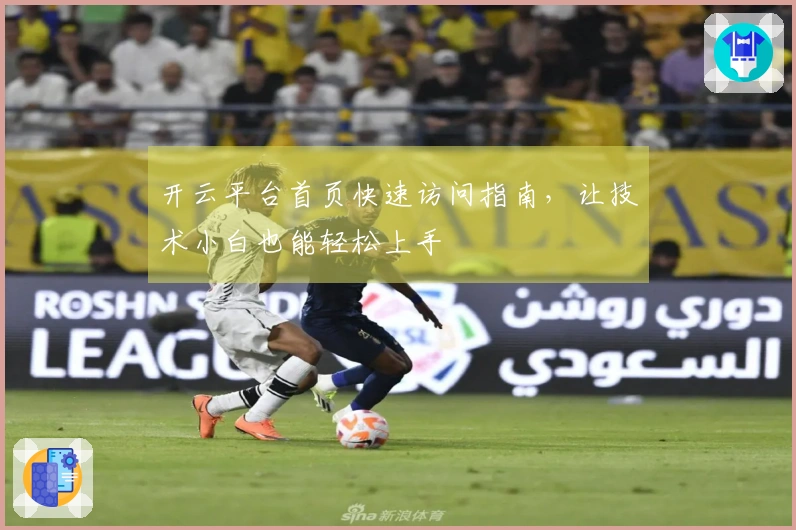 开云平台首页快速访问指南，让技术小白也能轻松上手