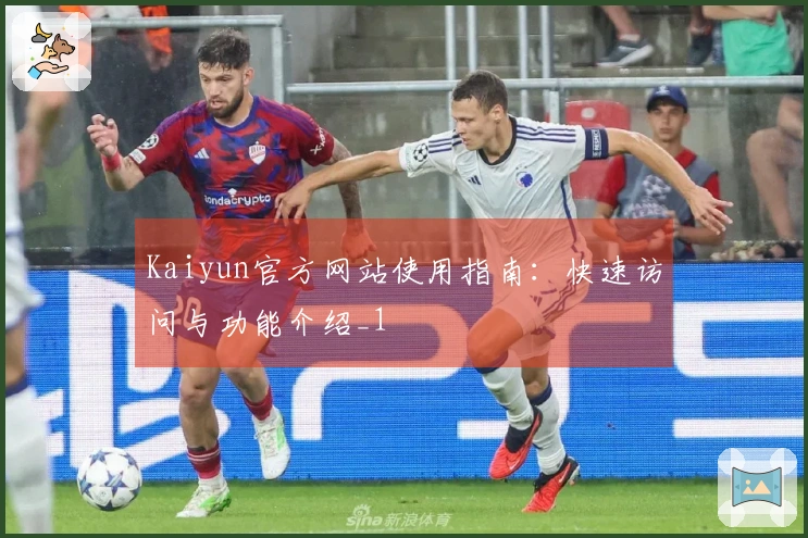 Kaiyun官方网站使用指南：快速访问与功能介绍_1